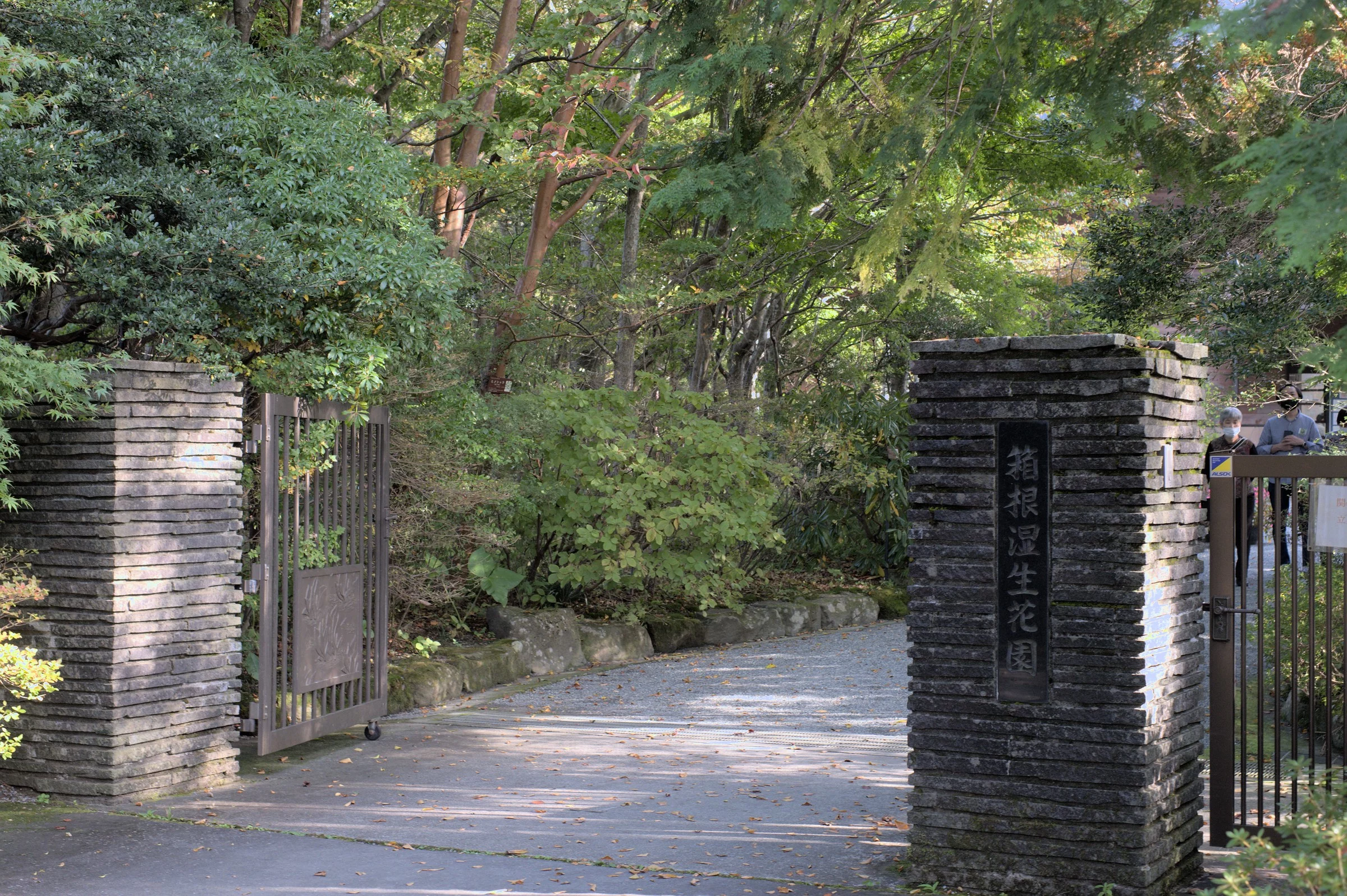 箱根湿生花園